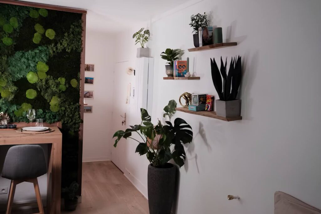 aménagement plantes intérieures